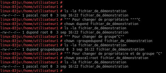 Texte Odoo et bloc d'image